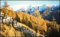 natuur, natuurgebieden, schmirntal, oostenrijk