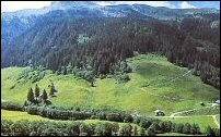 natuur, natuurgebieden, stanzertal, oostenrijk