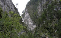 natuur, natuurgebieden, wildschonau, oostenrijk